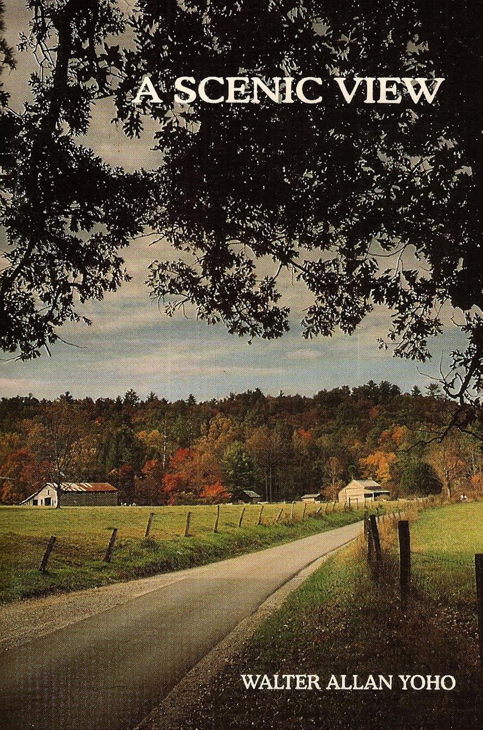 A Scenic View - Volume 1 (1st Edition)