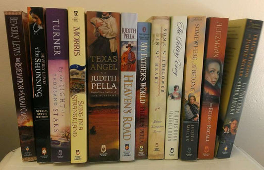 13 Volumes of Bethany House Novels