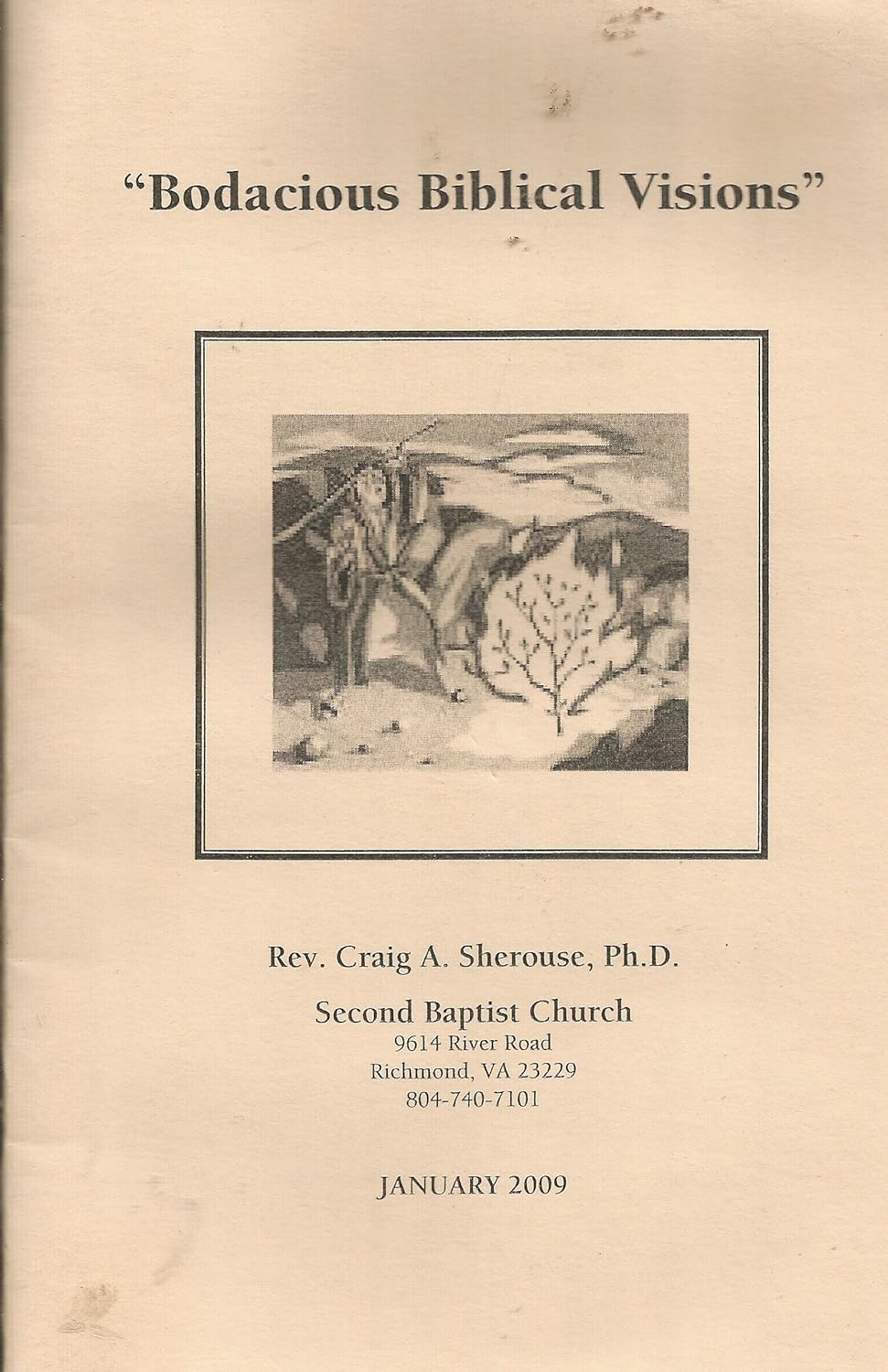 Bodacious Biblical Visions