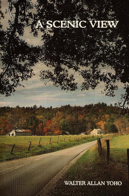 A Scenic View - Volume 1 (1st Edition)