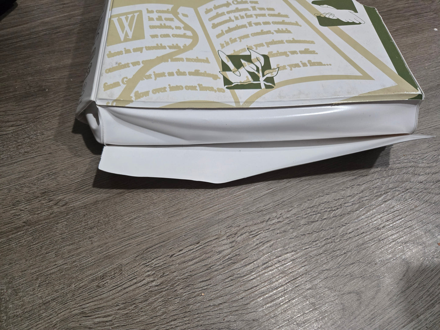 Counseling Insights: A Biblical Perspective on Caring for People, Vol. 1: Individually and in Relationships